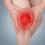 Cartilage