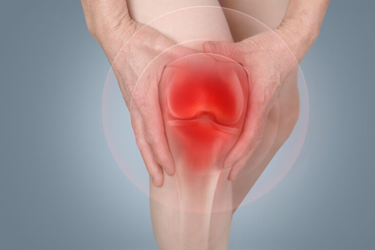 Cartilage